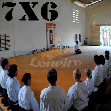 Lona 7,0 x 6,0m para Tatame Encerado Algodão Premium Anti-Derrapante Cotton RipStop Caqui : Akido Judo JiuJitSu Muay-Thay Boxe MMA UFC Academias