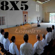 Lona 8,0 x 5,0m para Tatame Encerado Algodão Premium Anti-Derrapante Cotton RipStop Caqui : Akido Judo JiuJitSu Muay-Thay Boxe MMA UFC Academias