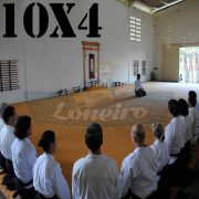 Lona: 10,0 x 4,0m para Tatame Encerado Algodão Premium Anti-Derrapante Cotton RipStop Caqui : Akido Judo JiuJitSu Muay-Thay Boxe MMA UFC Academia