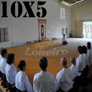 Lona: 10,0 x 5,0m para Tatame Encerado Algodão Premium Anti-Derrapante Cotton RipStop Caqui : Akido Judo JiuJitSu Muay-Thay Boxe MMA UFC Academia