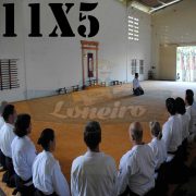 Lona: 11,0 x 5,0m para Tatame Encerado Algodão Premium Anti-Derrapante Cotton RipStop Caqui : Akido Judo JiuJitSu Muay-Thay Boxe MMA UFC Academia