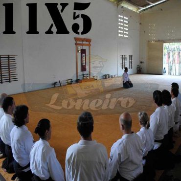 Lona: 11,0 x 5,0m para Tatame Encerado Algodão Premium Anti-Derrapante Cotton RipStop Caqui : Akido Judo JiuJitSu Muay-Thay Boxe MMA UFC Academia