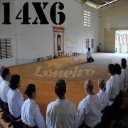 Lona: 14,0 x 6,0m para Tatame Encerado Algodão Premium Anti-Derrapante Cotton RipStop Caqui : Akido Judo JiuJitSu Muay-Thay Boxe MMA UFC Academia