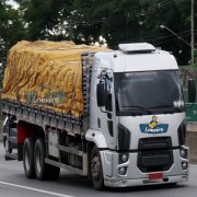 fotos de carretas e caminhoes rebaixados